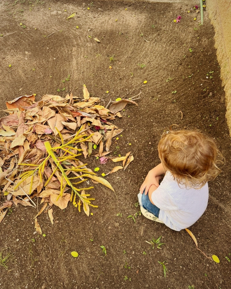 Explorando al aire libre